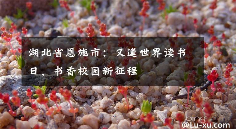 湖北省恩施市：又逢世界读书日，书香校园新征程