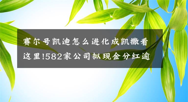 赛尔号凯迪怎么进化成凯撒看这里!582家公司拟现金分红逾千亿元 五大维度掘金投资机会
