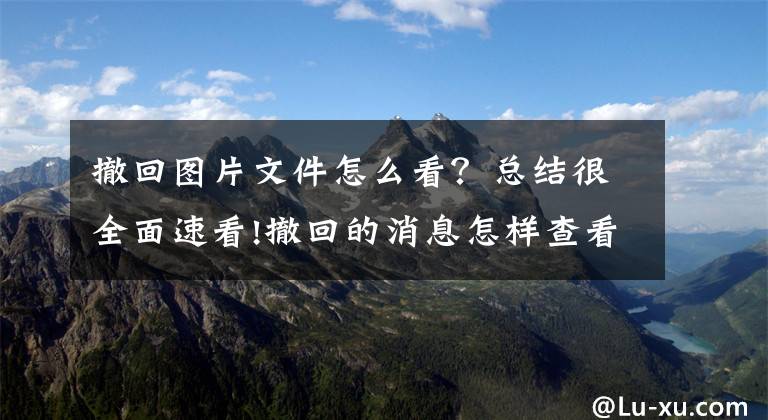 撤回图片文件怎么看?总结很全面速看!撤回的消息怎样查看?复制不了网页的文字怎么办?办法来了