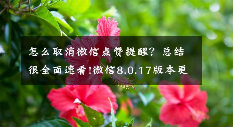 怎么取消微信点赞提醒?总结很全面速看!微信8.0.17版本更新来啦!这次新增了这几个超级实用的功能