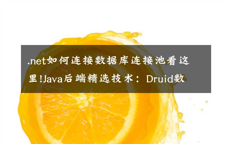 .net如何连接数据库连接池看这里!Java后端精选技术:Druid数据库连接池就是这么简单