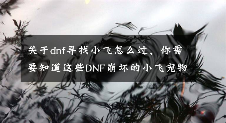 关于dnf寻找小飞怎么过，你需要知道这些DNF崩坏的小飞宠物属性详解 DNF崩坏的小飞宠物怎么获得