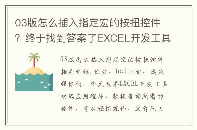 03版怎么插入指定宏的按扭控件?终于找到答案了EXCEL开发工具功能应用,数据查询必备控件,轻松操作无压力