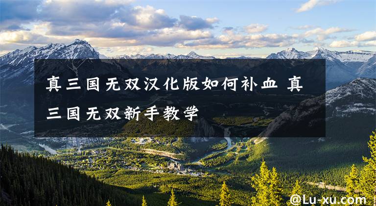 真三国无双汉化版如何补血 真三国无双新手教学