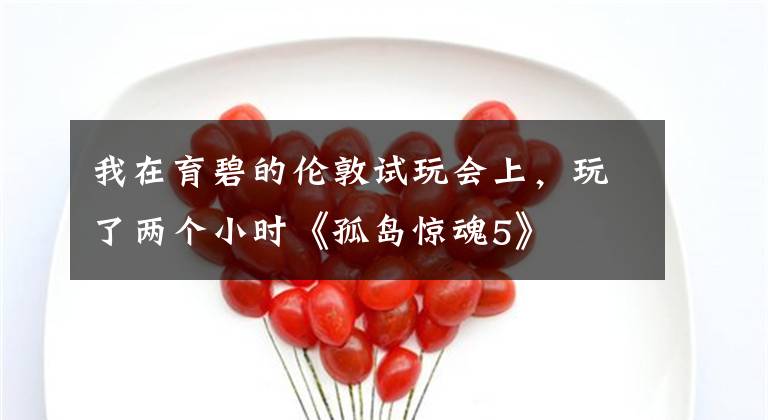 我在育碧的伦敦试玩会上，玩了两个小时《孤岛惊魂5》