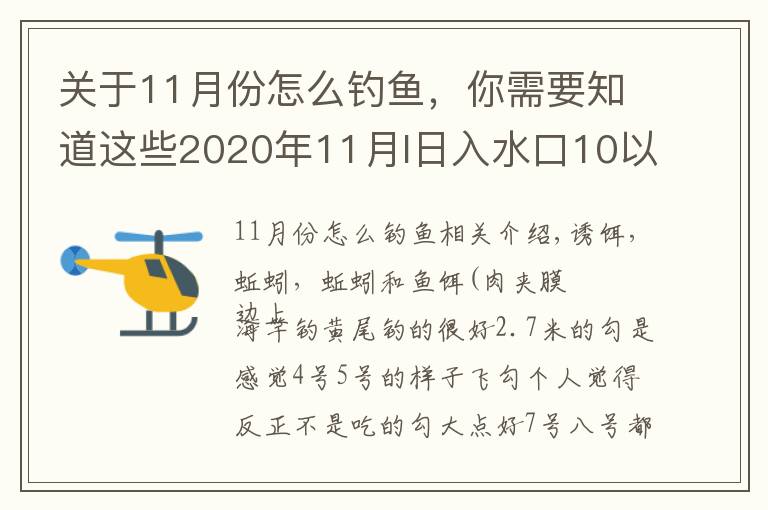 关于11月份怎么钓鱼,你需要知道这些2020年11月I日入水口10以后鲫鱼开口