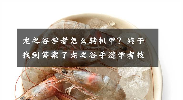 龙之谷学者怎么转机甲？终于找到答案了龙之谷手游学者技能介绍 学者加点推荐