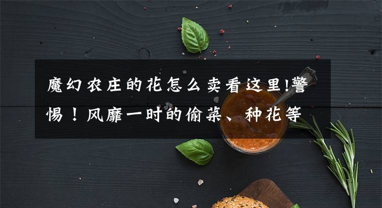 魔幻农庄的花怎么卖看这里!警惕！风靡一时的偷菜、种花等农场游戏涉嫌诈骗，受害者已超30万