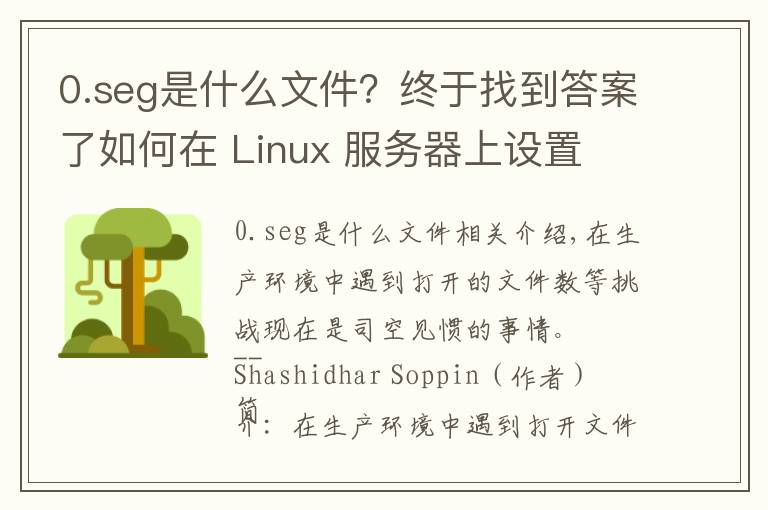 0.seg是什么文件?终于找到答案了如何在 Linux 服务器上设置 ulimit 和文件描述符数限制