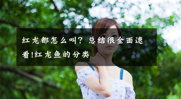 红龙都怎么叫？总结很全面速看!红龙鱼的分类