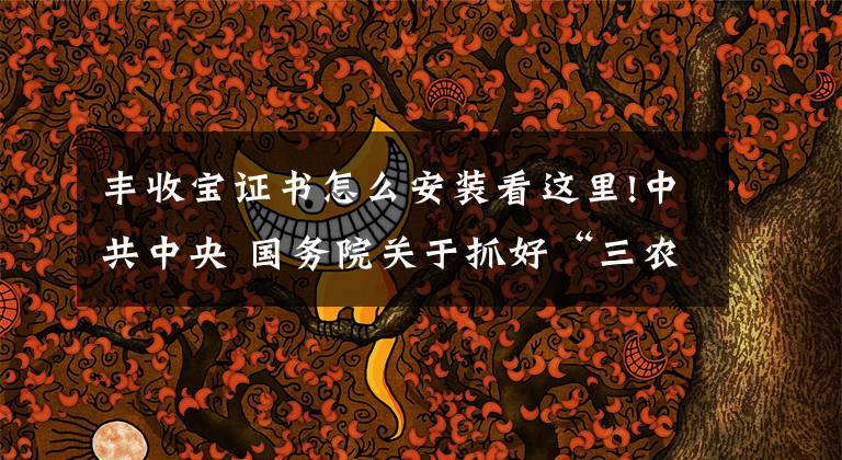 丰收宝证书怎么安装看这里!中共中央 国务院关于抓好“三农”领域重点工作确保如期实现全面小康的意见