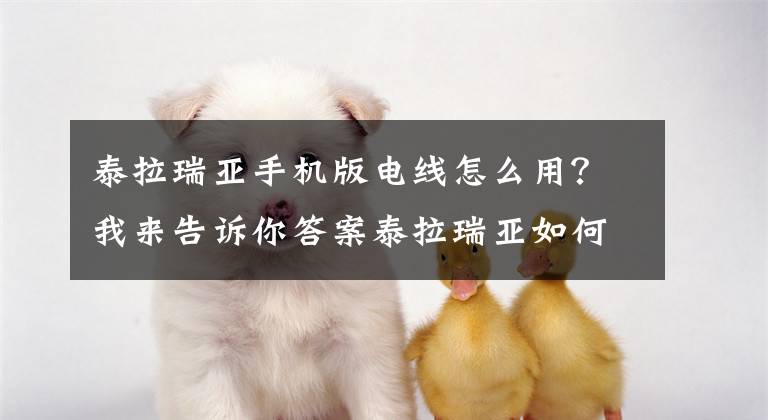 泰拉瑞亚手机版电线怎么用？我来告诉你答案泰拉瑞亚如何用电路杀怪 电路刷守卫者技巧