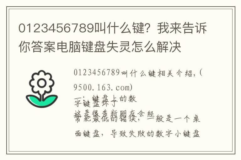 0123456789叫什么键?我来告诉你答案电脑键盘失灵怎么解决