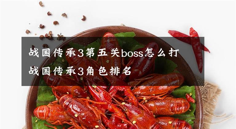 战国传承3第五关boss怎么打 战国传承3角色排名
