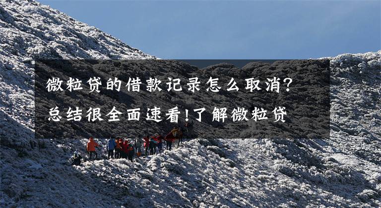 微粒贷的借款记录怎么取消?总结很全面速看!了解微粒贷 提高警惕防骗