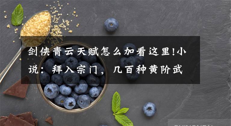 剑侠青云天赋怎么加看这里!小说：拜入宗门，几百种黄阶武技供挑选，少年看后却直摇头