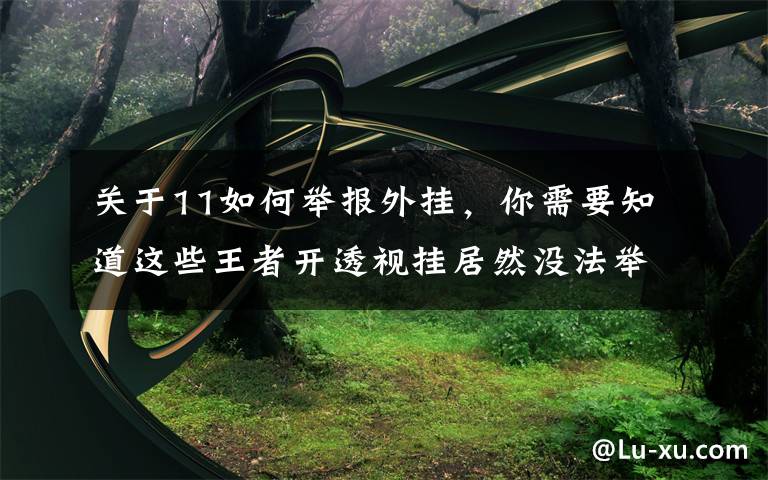 关于11如何举报外挂,你需要知道这些王者开透视挂居然没法举报