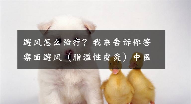 游风怎么治疗?我来告诉你答案面游风(脂溢性皮炎)中医诊疗方案