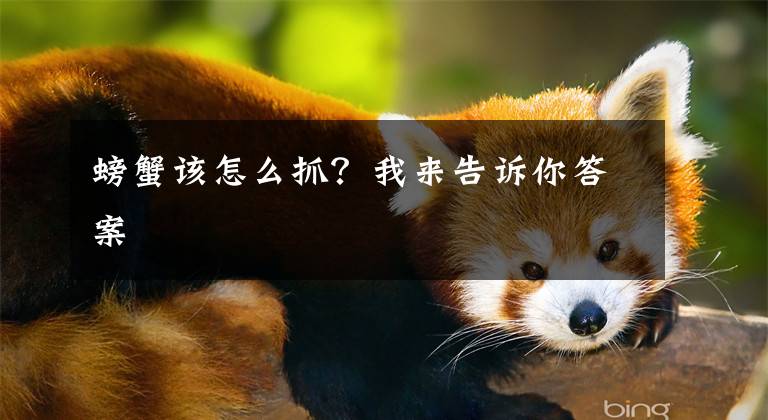 螃蟹该怎么抓？我来告诉你答案