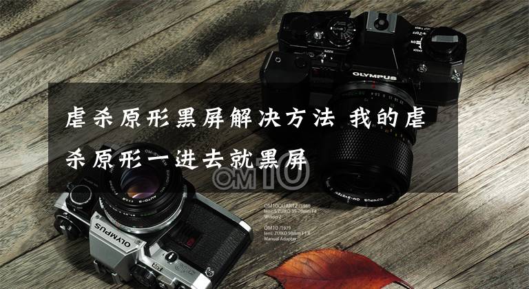 虐杀原形黑屏解决方法 我的虐杀原形一进去就黑屏