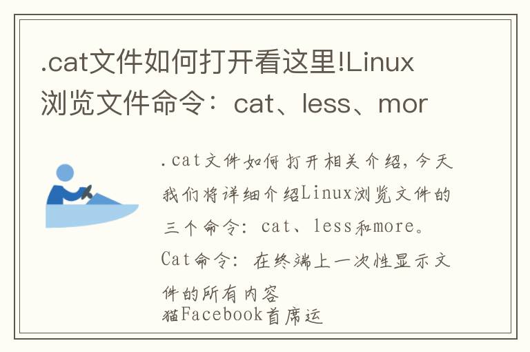 .cat文件如何打开看这里!Linux浏览文件命令:cat、less、more详解