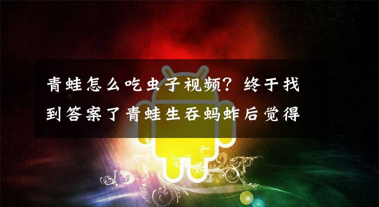 青蛙怎么吃虫子视频？终于找到答案了青蛙生吞蚂蚱后觉得吃不下，又将其吐出，最后蚂蚱被活生生饿死