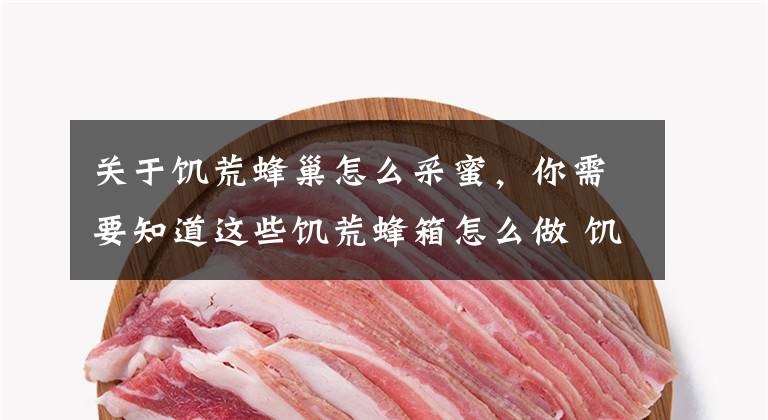 关于饥荒蜂巢怎么采蜜，你需要知道这些饥荒蜂箱怎么做 饥荒蜂箱有什么用吗