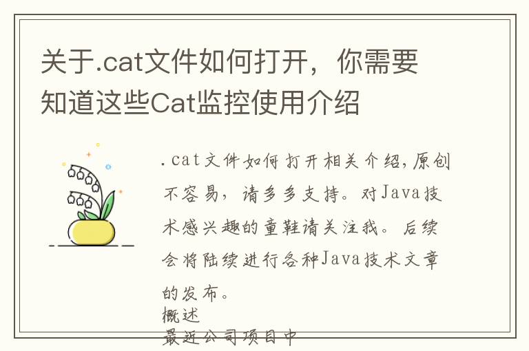 关于.cat文件如何打开,你需要知道这些Cat监控使用介绍