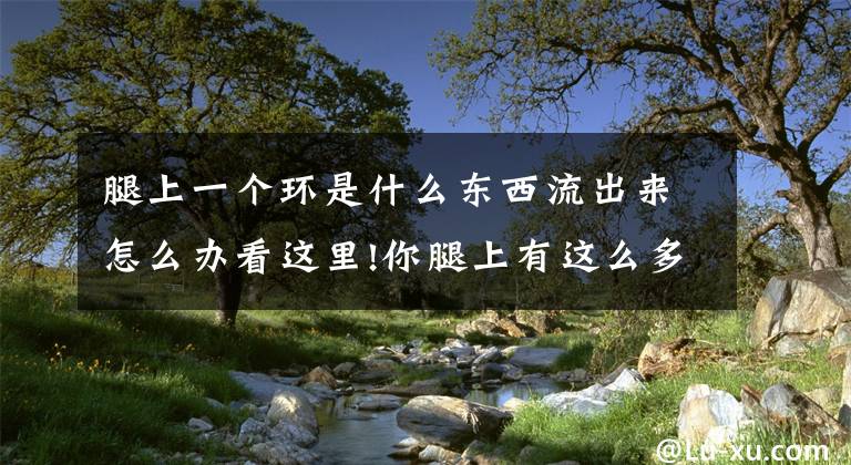 腿上一个环是什么东西流出来怎么办看这里!你腿上有这么多关键地方 你知道吗?