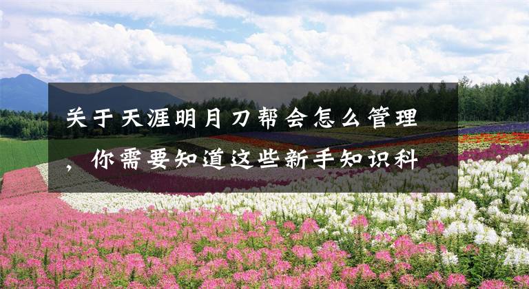 关于天涯明月刀帮会怎么管理，你需要知道这些新手知识科普 天涯明月刀盟会帮派的选择方法