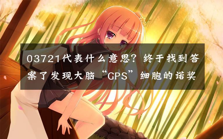 03721代表什么意思?终于找到答案了发现大脑“GPS”细胞的诺奖得主:什么是生活的最优解?