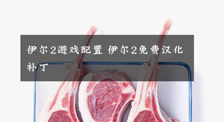 伊尔2游戏配置 伊尔2免费汉化补丁