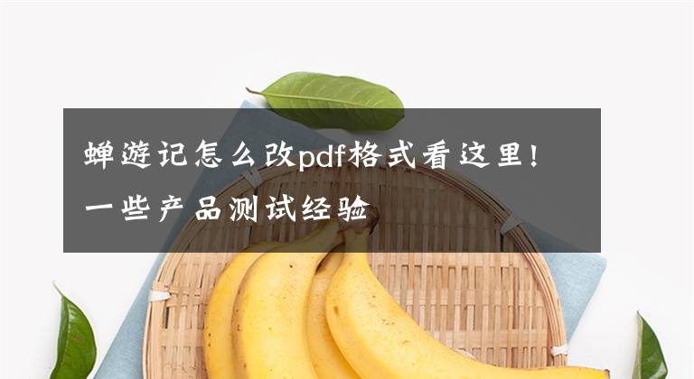 蝉游记怎么改pdf格式看这里!一些产品测试经验