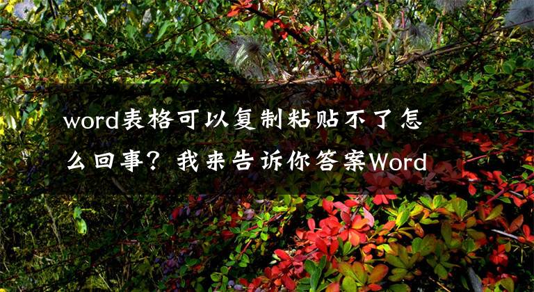 word表格可以复制粘贴不了怎么回事？我来告诉你答案Word复制粘贴不为人知的秘密
