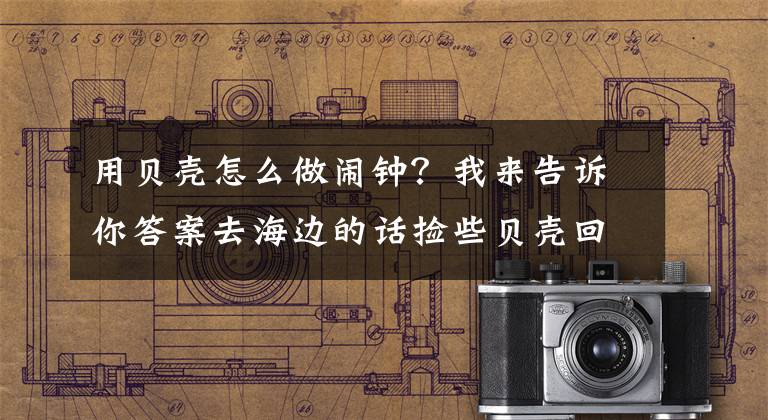 用贝壳怎么做闹钟？我来告诉你答案去海边的话捡些贝壳回来 小贝壳大用处！超多贝壳手工教程集合！