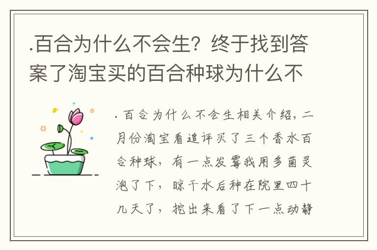 .百合为什么不会生?终于找到答案了淘宝买的百合种球为什么不发芽