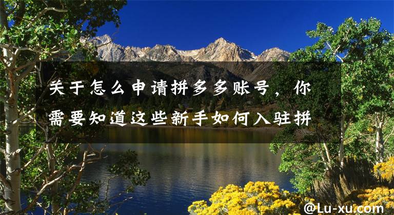 关于怎么申请拼多多账号,你需要知道这些新手如何入驻拼多多?做好这几个步骤即可