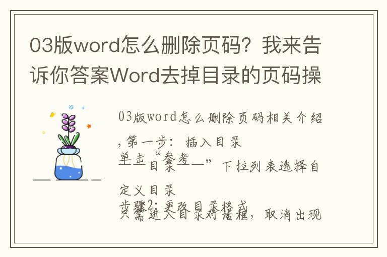 03版word怎么删除页码?我来告诉你答案Word去掉目录的页码操作,很便捷
