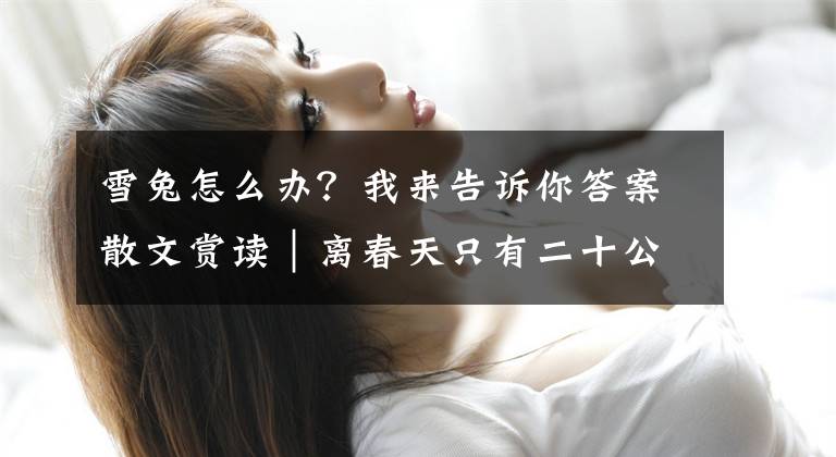 雪兔怎么办？我来告诉你答案散文赏读｜离春天只有二十公分的雪兔