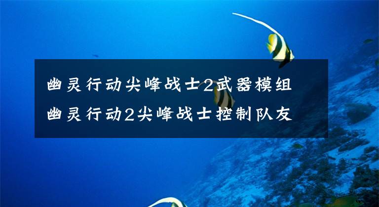 幽灵行动尖峰战士2武器模组 幽灵行动2尖峰战士控制队友