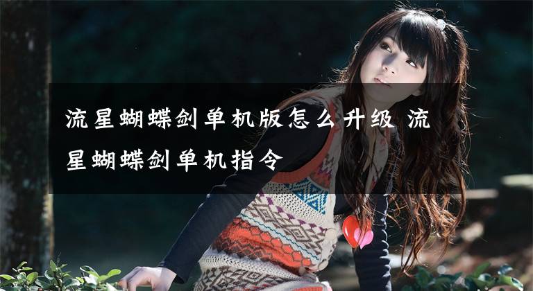 流星蝴蝶剑单机版怎么升级 流星蝴蝶剑单机指令