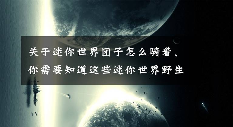 关于迷你世界团子怎么骑着,你需要知道这些迷你世界野生团子驯服技巧 迷你世界野生团子怎么驯服