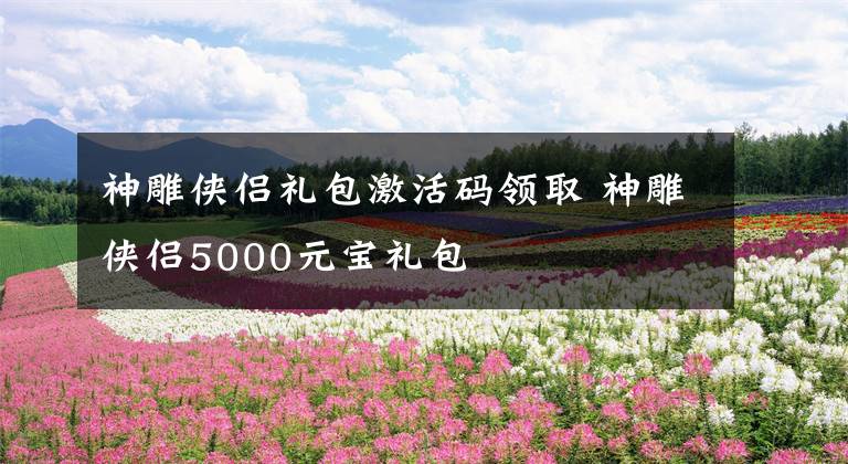 神雕侠侣礼包激活码领取 神雕侠侣5000元宝礼包