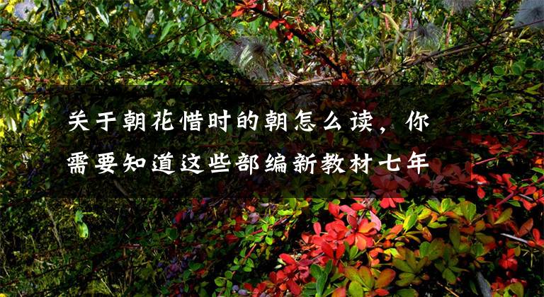 关于朝花惜时的朝怎么读,你需要知道这些部编新教材七年级上册《朝花夕拾》阅读指导