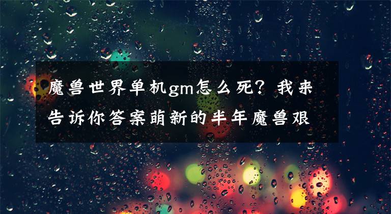 魔兽世界单机gm怎么死？我来告诉你答案萌新的半年魔兽艰辛路，独自单机了半年，却慢慢爱上了这个游戏