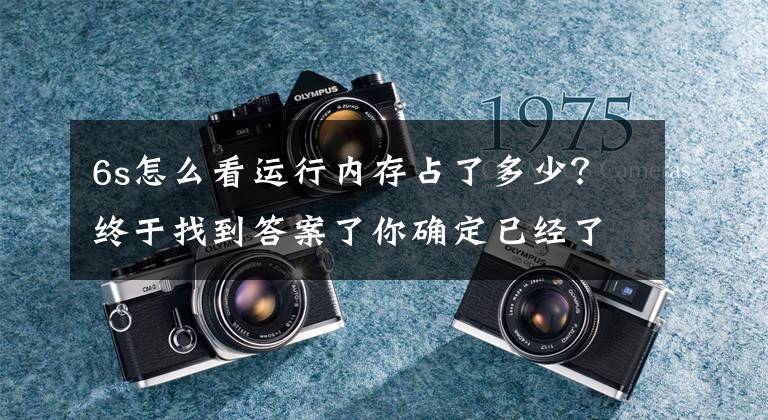 6s怎么看运行内存占了多少?终于找到答案了你确定已经了解iPhone 6s?看完这里再说