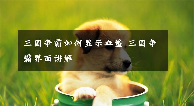 三国争霸如何显示血量 三国争霸界面讲解