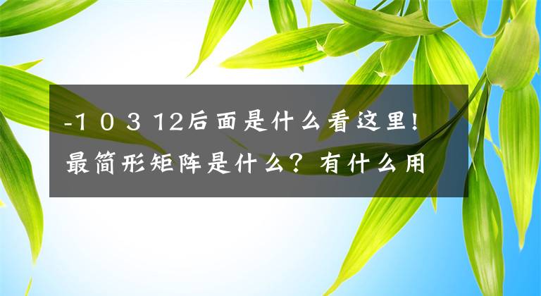 -1 0 3 12后面是什么看这里!最简形矩阵是什么？有什么用？如何将一个矩阵化为最简形矩阵？