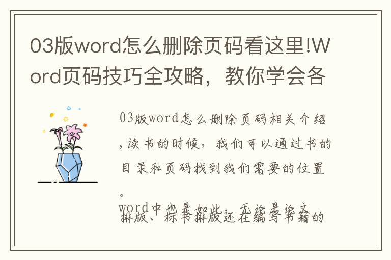 03版word怎么删除页码看这里!Word页码技巧全攻略,教你学会各种页码排版设置