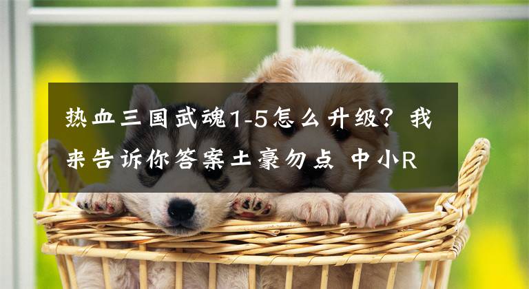 热血三国武魂1-5怎么升级？我来告诉你答案土豪勿点 中小R玩转手游《热血三国》必看